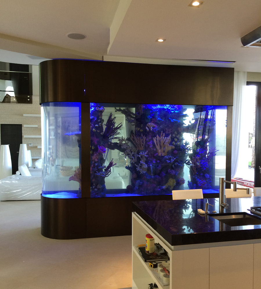Custom Aquariums
